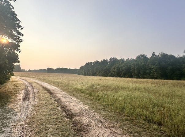 398 Antioch Church Road, Jefferson, SC 29718