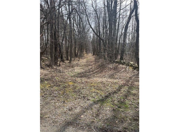 E View Road, Tompkins, NY 13839