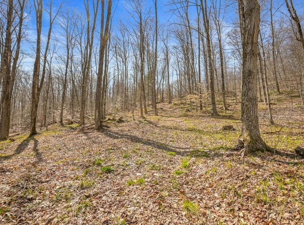 L9.114 Lutheranville Rd, Summit, NY 12064