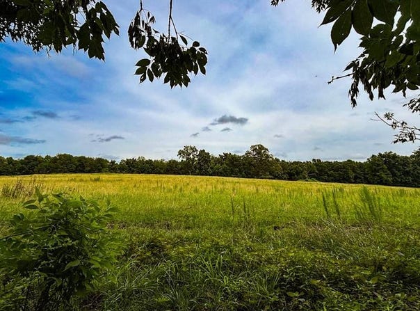 496 County Road 496, Lexington, AL 35648