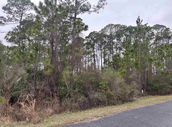 Wilderness Way lot: 42, Panacea, FL 32346