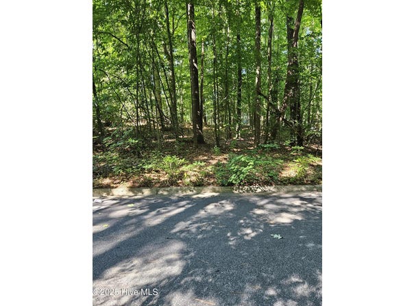 0 Woodlawn East Drive, Williamston, NC 27892