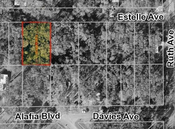 931 ESTELLE Avenue, BRANDON, FL 33511