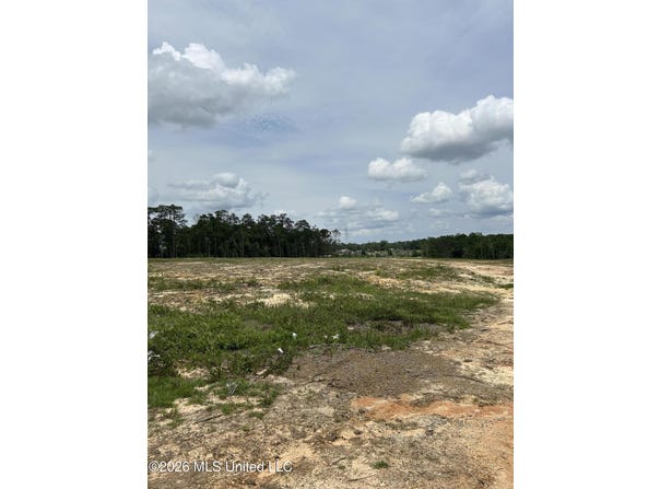 Old Highway 63, Lucedale, MS 39452