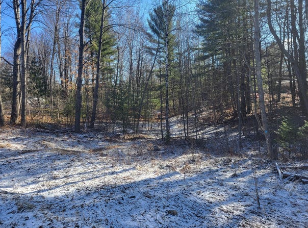 64 Pine Grove Road, Gaylord, MI 49735