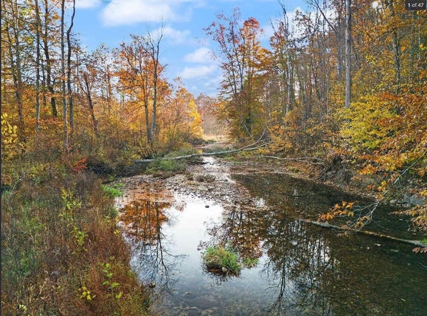 210 Singleton School Road, Eubank, KY 42567