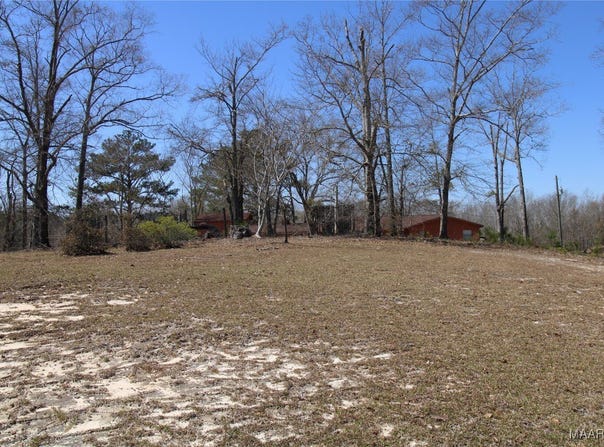 118 Widgeon Lane, Grady, AL 36036