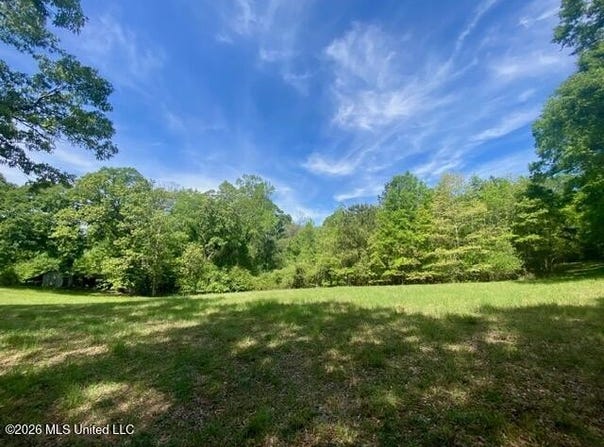 Moaks Creek Road, Summit, MS 39666