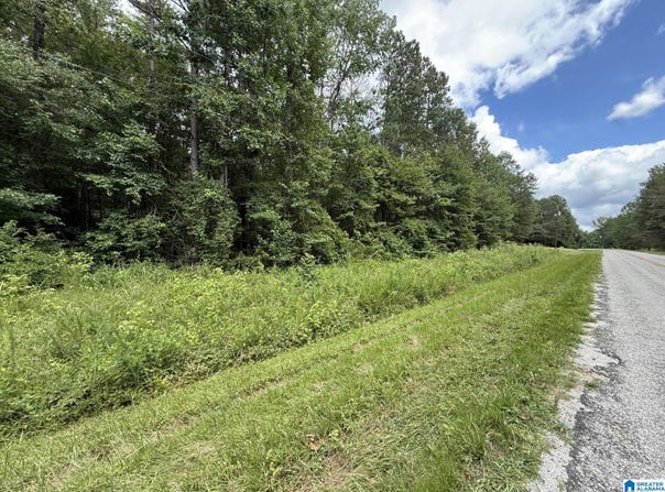 Tract 2 COUNTY ROAD 103, WOODLAND, AL 36280