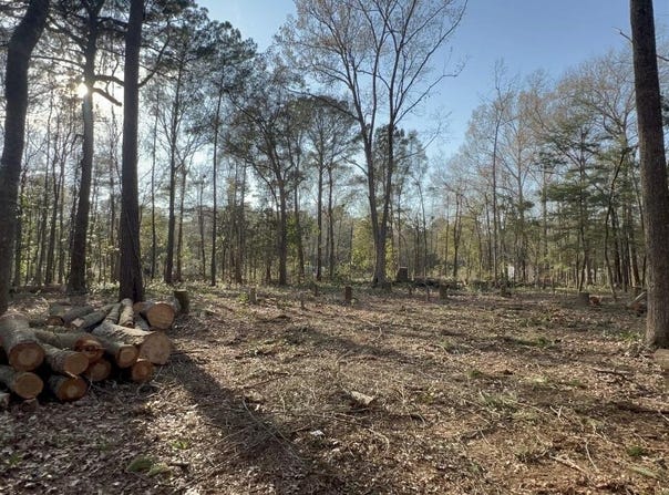 Sol Farm Road, Johns Island, SC 29455
