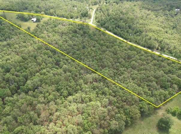 53 Wagon Wheel Road, Conway, MO 65632