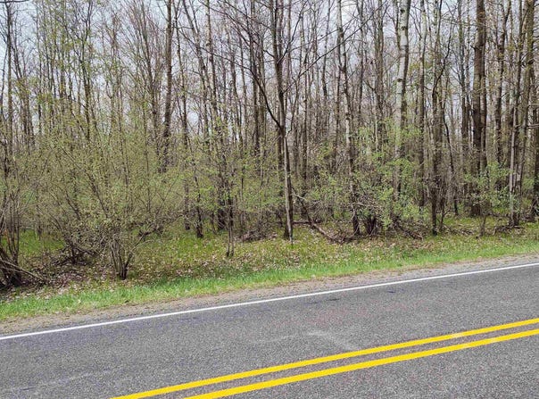 1150 Queensway Drive lot: 460, Lake Isabella, MI 48893