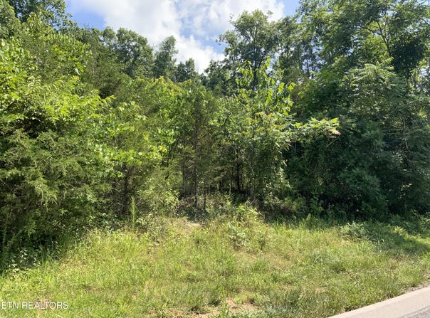 Eagles Ridge, New Tazewell, TN 37825