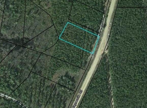 Lot 15 Old Waynesville Road, Waynesville, GA 31566