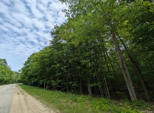 Parcel "B" W Smith Lake, Manistique, MI 49854