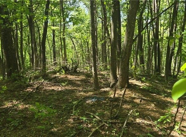 Goose Creek Lane, Ararat, VA 24053