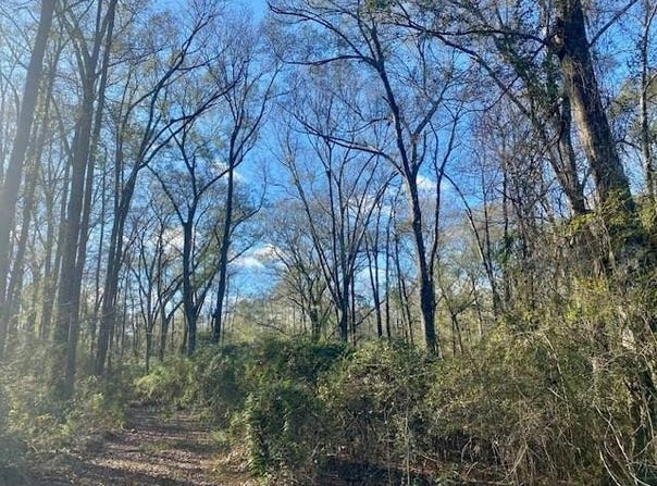 Morgantown Road, McComb, MS 39648