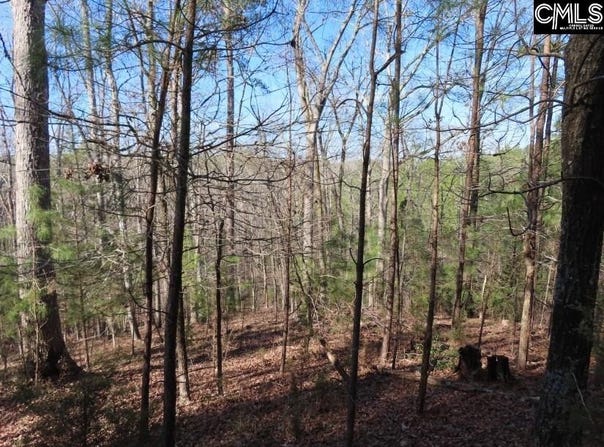 0 SC 200 Highway, Winnsboro, SC 29180