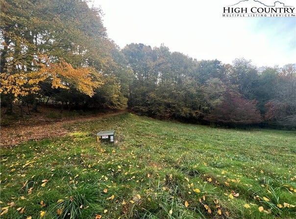 Busic Ridge #4, Sparta, NC 28675
