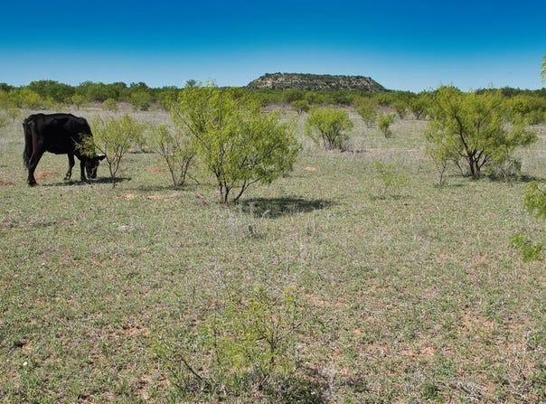 2303 Streeter Lane, Mason, TX 76856