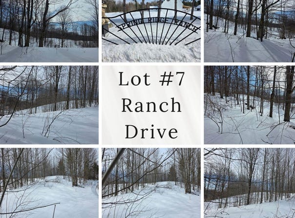 VL Ranch Drive, Bellaire, MI 49615