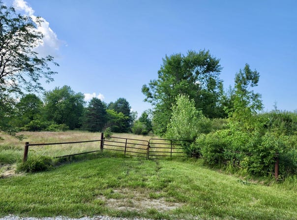 Vacant Springborn Road, Casco, MI 48064