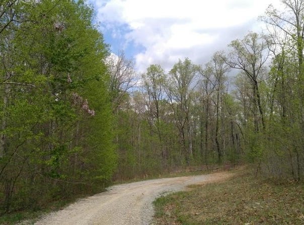 Lot 10 Green Forest Road, Dunlap, TN 37327