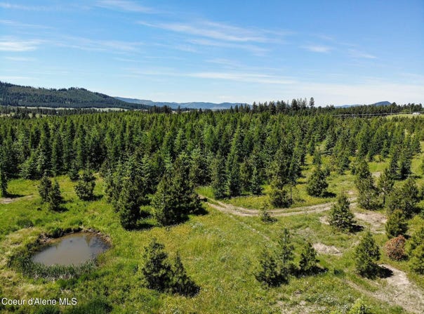 Nna S Hawthorne Drive Parcel 1, Harrison, ID 83833