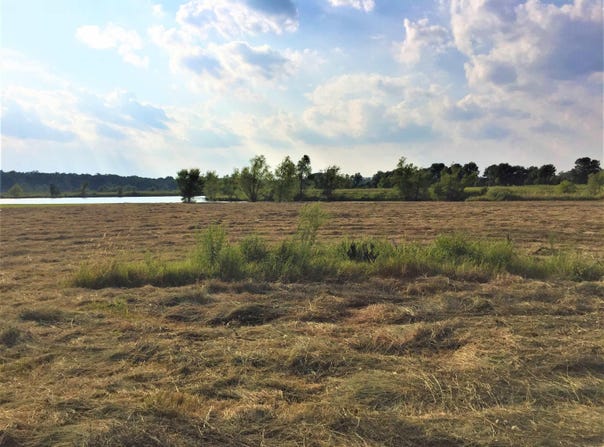 Mound View Drive lot: 309, England, AR 72046