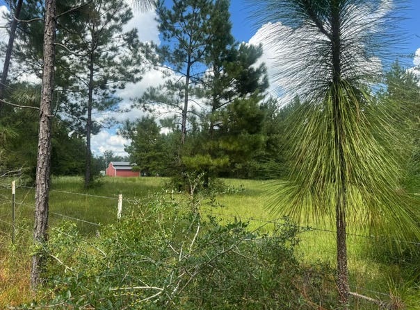 22473 Yankee Town Rd, Saucier, MS 39574