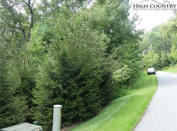Lot 17 Farm Loop Road, Banner Elk, NC 28604