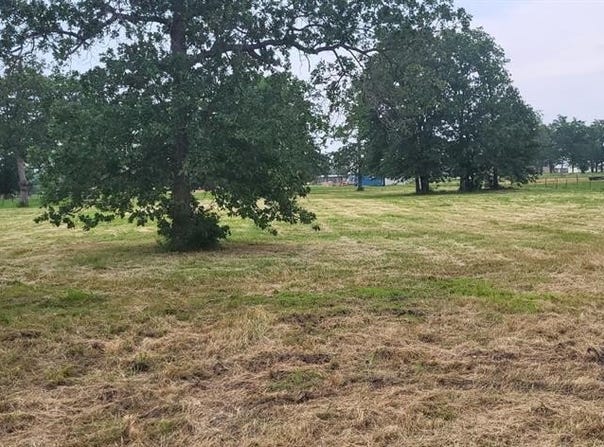 Tbd CR 1730, Yantis, TX 75497