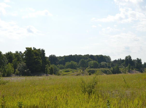 7573 ALDEN HIGHWAY, BELLAIRE, MI 49615