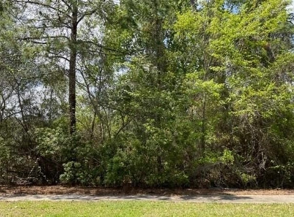 00 Charleston Way, St Marys, GA 31558