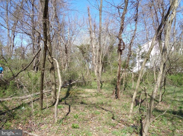 12355 POTOMAC VIEW DRIVE, NEWBURG, MD 20664