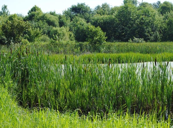 8000 E 1000 S, Austin, IN 47102