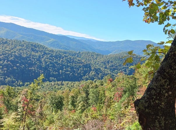 Tbd Rattlesnake Ridge Lot 19 & 31, Butler, TN 37640