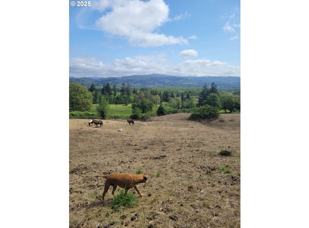 Nicolai cutoff rd, Rainier, OR 97048