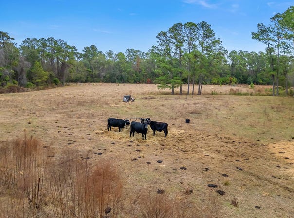 701 N BARBER Hill, Lamont, FL 32336