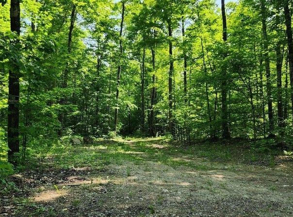 80 W Trophy Ln, Hessel, MI 49745