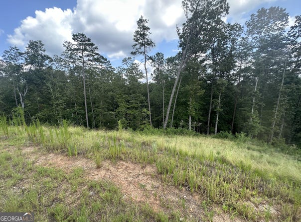 Lot 244 Spear Point, Talking Rock, GA 30175