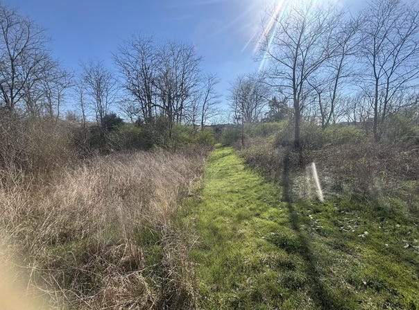 Weaver Street, Winona, MO 65588