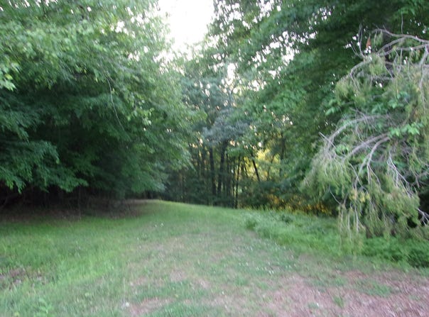 297 Fork Junction Road, Timberlake, NC 27583