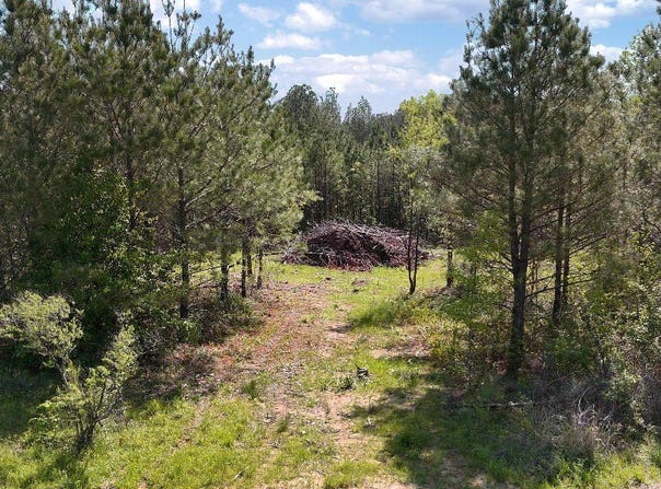 290 Mt. Helm Road, Brandon, MS 39047