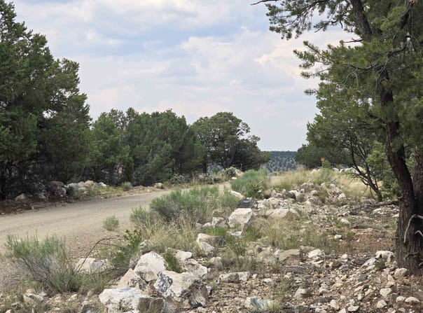 Lobo Ranch Road, Arroyo Hondo, NM 87513-0000