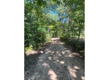 1285 Tbd Halsey Fork, Grassy Creek, KY 41472