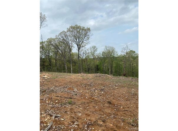 8819 Helujon Acres Drive, Hillsboro, MO 63050
