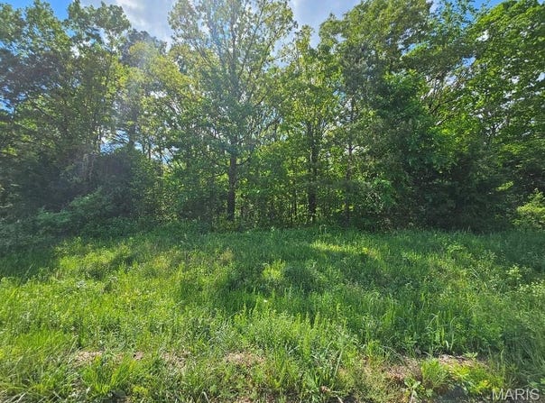 0 Carter 239, Ellsinore, MO 63937