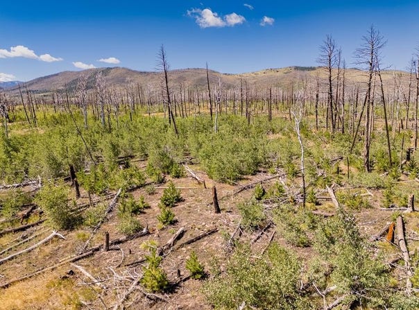 Douglas Lane lot: 1596, Fort Garland, CO 81133