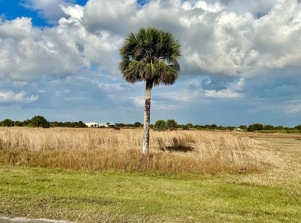 6635 SE 26th Trail, Okeechobee, FL 34974